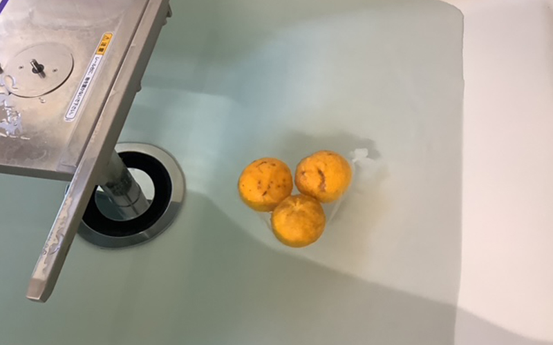 ゆず湯をしました