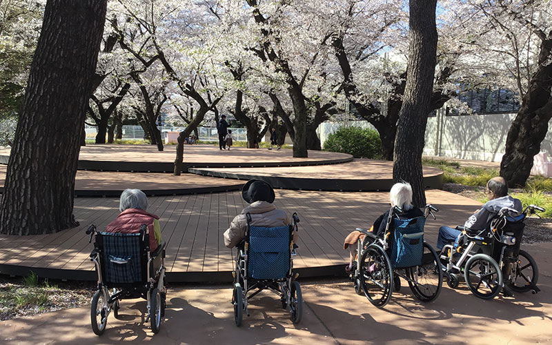 1号棟お花見に行きました。