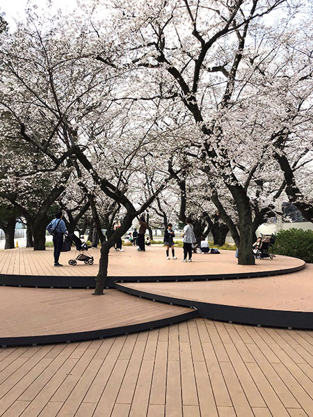 1号棟お花見に行きました。