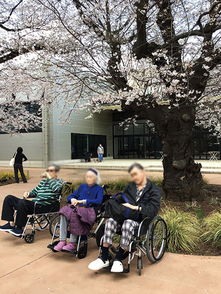 1号棟お花見に行きました。