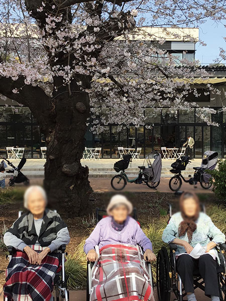 1号棟お花見に行きました。